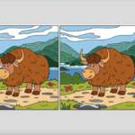 Spot the Difference game